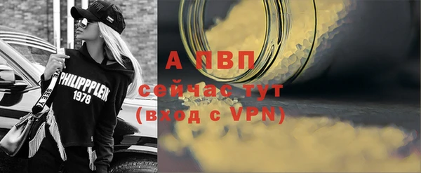 молекула духа Арсеньев