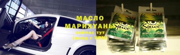молекула духа Арсеньев