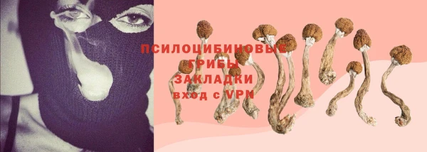 гашик Струнино