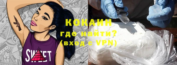 молекула духа Арсеньев