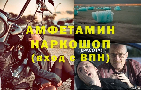 молекула духа Арсеньев