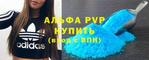 молекула духа Арсеньев